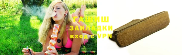 прущие грибы Алзамай