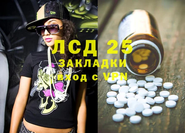прущие грибы Алзамай