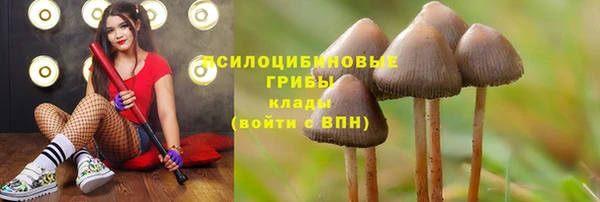 наркотики Алексеевка