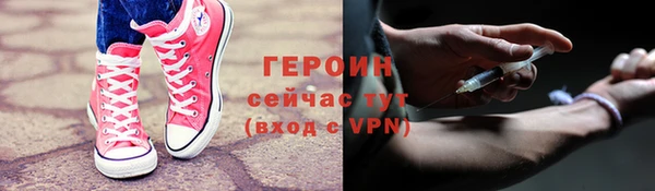 прущие грибы Алзамай