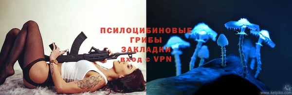 прущие грибы Алзамай