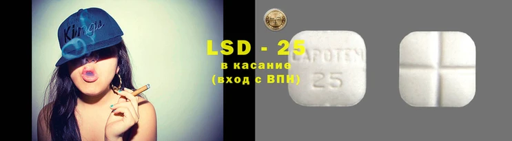 прущие грибы Алзамай